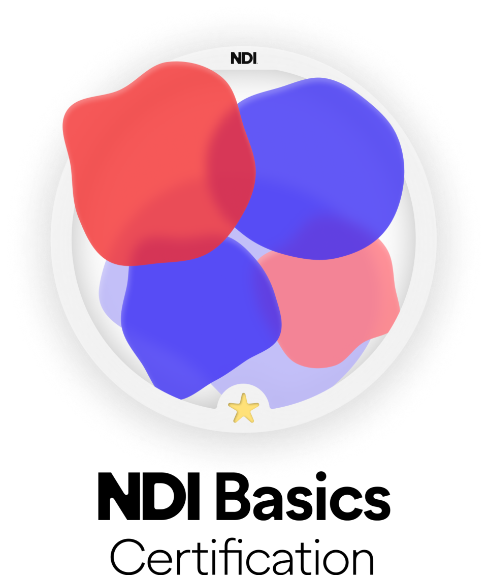 The official icon for the NDI Basics Course